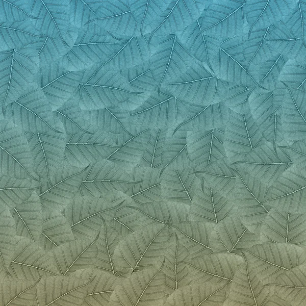 Кольорове листя Фон і текстура — стокове фото