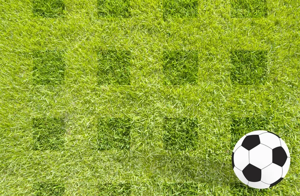 Futebol futebol no fundo da grama — Fotografia de Stock