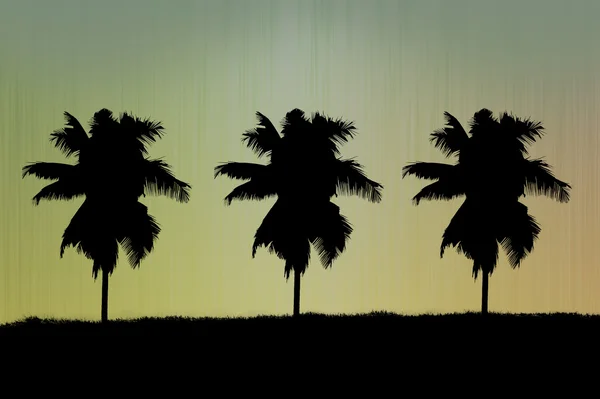 Silhouette eines Baumes auf abstraktem Hintergrund — Stockfoto