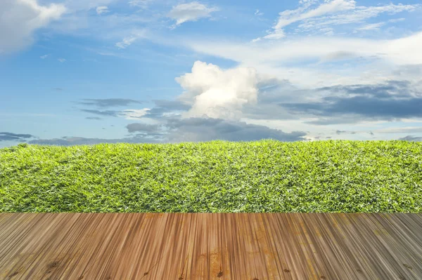 Gras met hout op blauwe hemel — Stockfoto