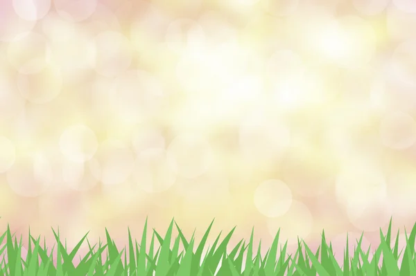 Zelené trávě s barvou pozadí abstraktní — Stock fotografie
