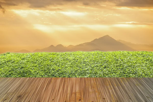 Gras met hout op kleur hemel — Stockfoto