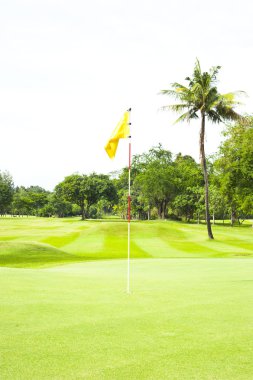 Yeşil çimenlerin üzerinde bir golf alanı