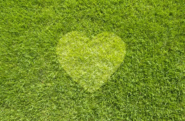 Yeşil çimen, doku arka plan üzerinde simgesi kalp — Stok fotoğraf