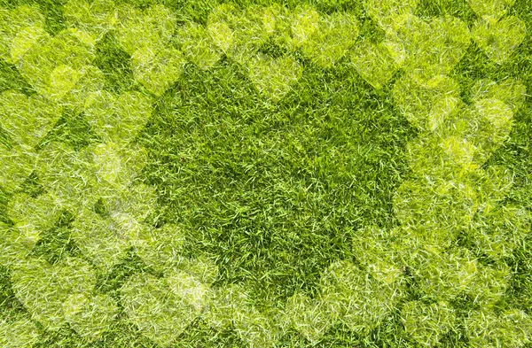 Ícone coração na grama verde, fundo textura — Fotografia de Stock