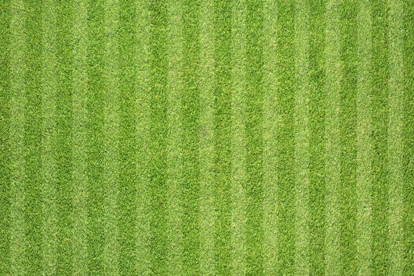 Groen gras textuur en achtergrond — Stockfoto