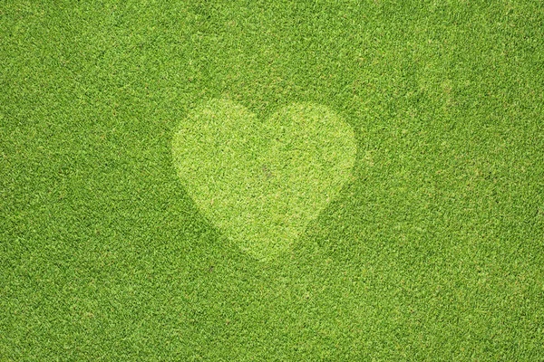 Heart on Green grass, texture background — Stock Photo, Image