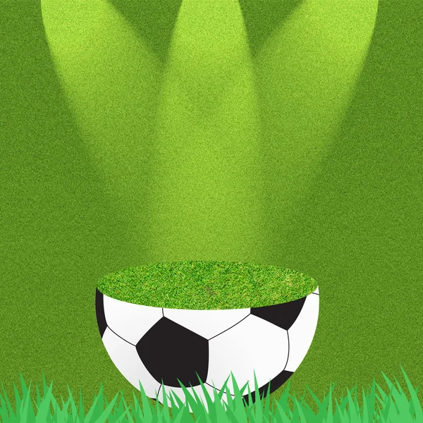 Football soccer on grass background — Stock Photo, Image