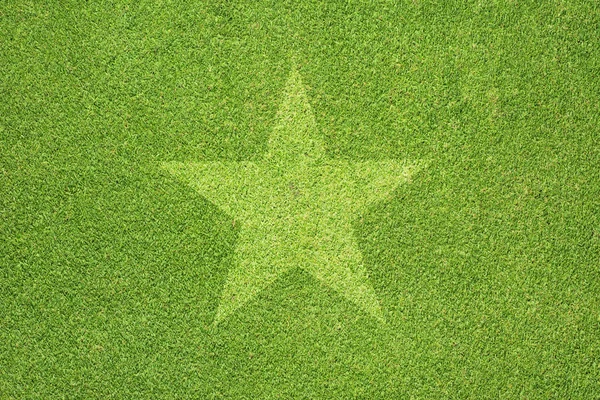 Estrella sobre hierba verde textura y fondo —  Fotos de Stock