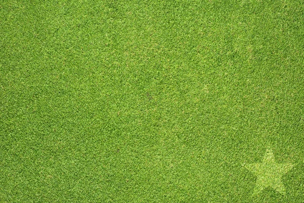 Звезда на зеленой траве текстуры и фона — стоковое фото