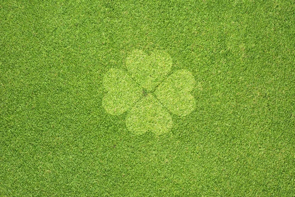 Leaf on green grass texture and background — Stock Photo, Image