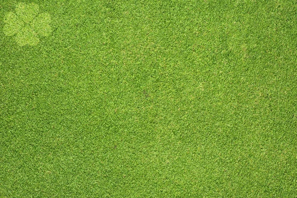 Blad op groen gras textuur en achtergrond — Stockfoto