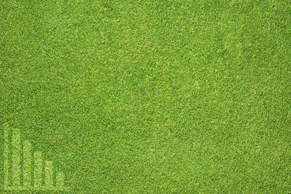 Graph on green grass texture and background — Stock Photo, Image