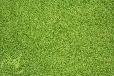 spor kaykay üzerinde yeşil çim dokusu ve arka plan