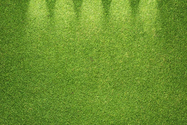 Texture et fond d'herbe verte — Photo