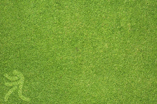 Спортивный настольный теннис на зеленой траве и фоне — стоковое фото