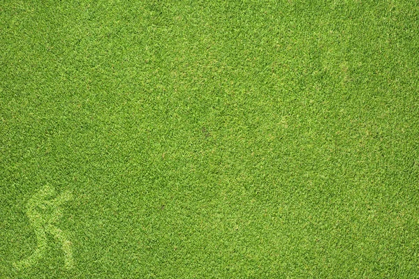 Спортивний боксер на зеленій текстурі трави та фоні — стокове фото