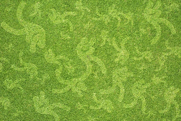 Sport boxer på grönt gräs textur och bakgrund — Stockfoto