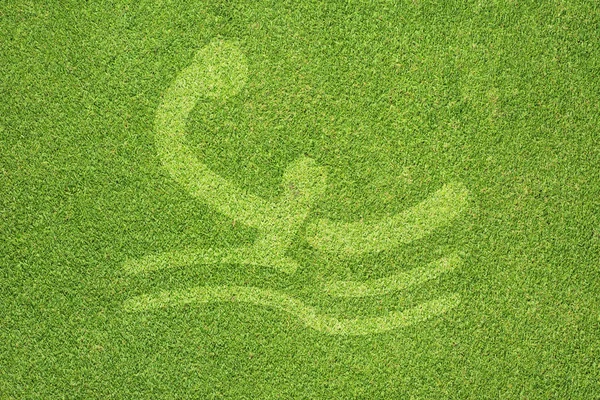 Sport Piłka wodna na zielonej trawie tekstury i tła — Zdjęcie stockowe