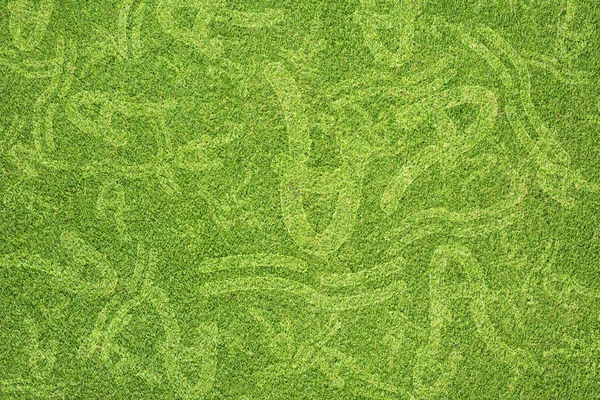 Zelená tráva textura a pozadí — Stock fotografie