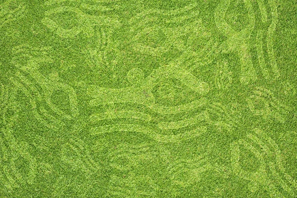 Groen gras textuur en achtergrond — Stockfoto