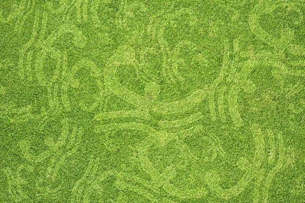 Hierba verde textura y fondo —  Fotos de Stock