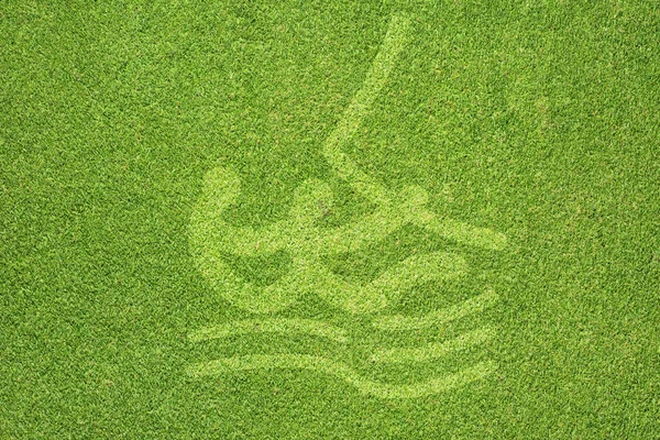 緑の草のテクスチャと背景にスポーツ ヨット — ストック写真