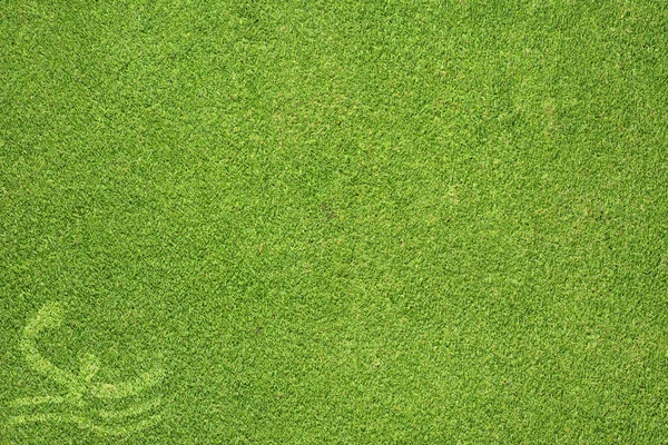 Sport vattenpolo på grönt gräs textur och bakgrund — Stockfoto