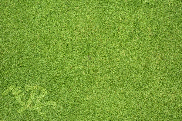 Спортивна верхова їзда на зеленій траві текстура і фон — стокове фото
