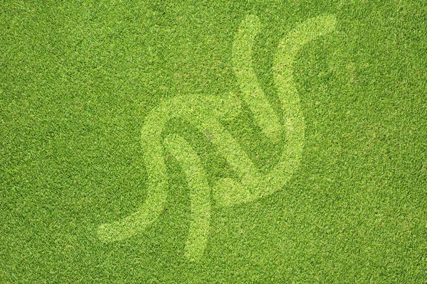 Esporte judô na textura de grama verde e fundo — Fotografia de Stock