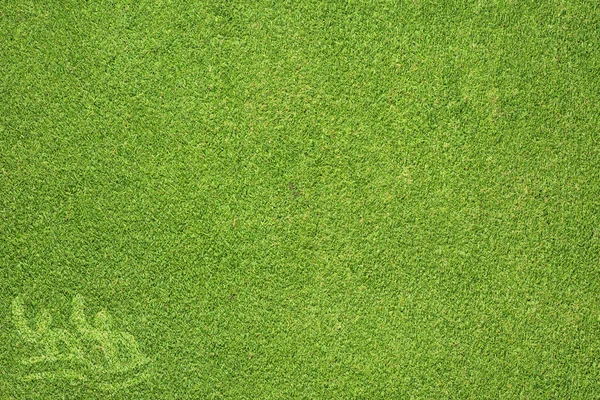 Spor yüzme yeşil çim doku ve arka plan — Stok fotoğraf