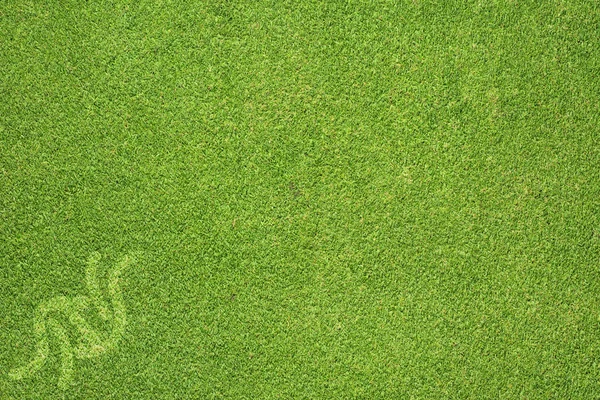 Спортивное дзюдо на зеленой траве и фоне — стоковое фото