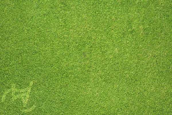 Esporte skate na textura de grama verde e fundo — Fotografia de Stock