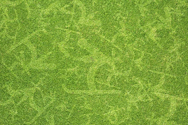 Yeşil çim dokusu ve arka plan üzerinde Spor Kayak — Stok fotoğraf