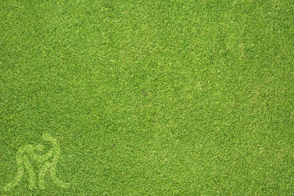 Спортивная борьба на зеленой траве текстура и фон Лицензионные Стоковые Фото