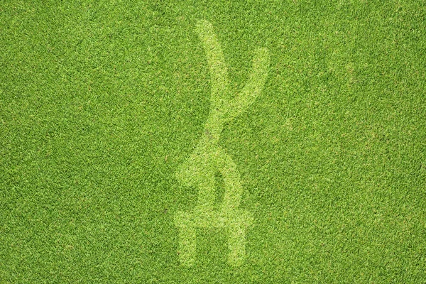 Ginástica esportiva na textura de grama verde e fundo — Fotografia de Stock