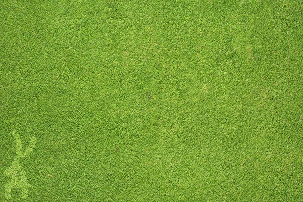Sport gymnastische op groen gras textuur en achtergrond — Stockfoto