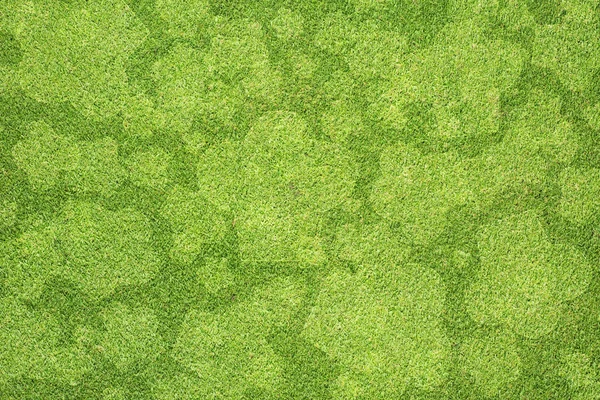 緑の草のテクスチャと背景上のシェフのアイコン — ストック写真