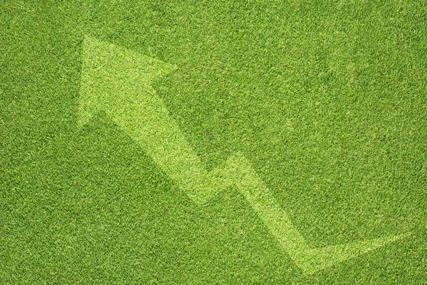 Diagram ikon på grönt gräs bakgrund — Stockfoto