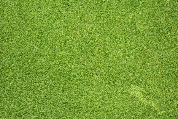 Graph icon on green grass background — Stock Photo, Image
