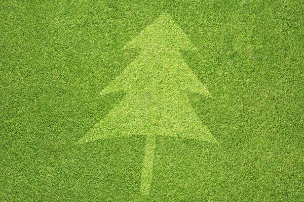 Christmas tree on green grass background — 스톡 사진