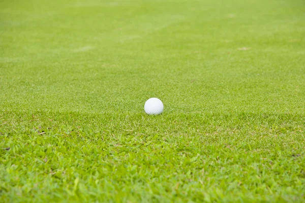 Golf na polu zielona trawa — Zdjęcie stockowe
