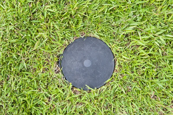 stock image Cork on green grass field