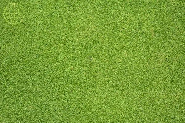 Global icon on green grass background — Stock Photo, Image
