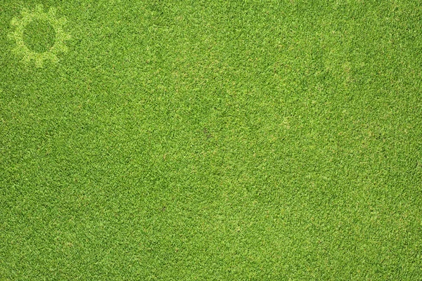 Icono de engranaje sobre fondo de hierba verde —  Fotos de Stock
