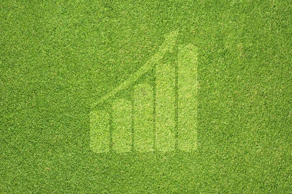 Icono gráfico sobre hierba verde textura y fondo — Foto de Stock