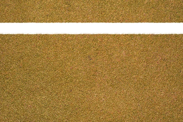 Oranje gras textuur en achtergrond — Stockfoto