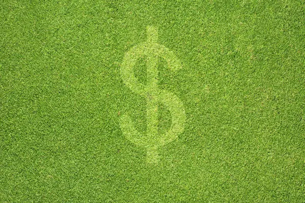 Money icon on green grass texture and background — Stock Photo, Image