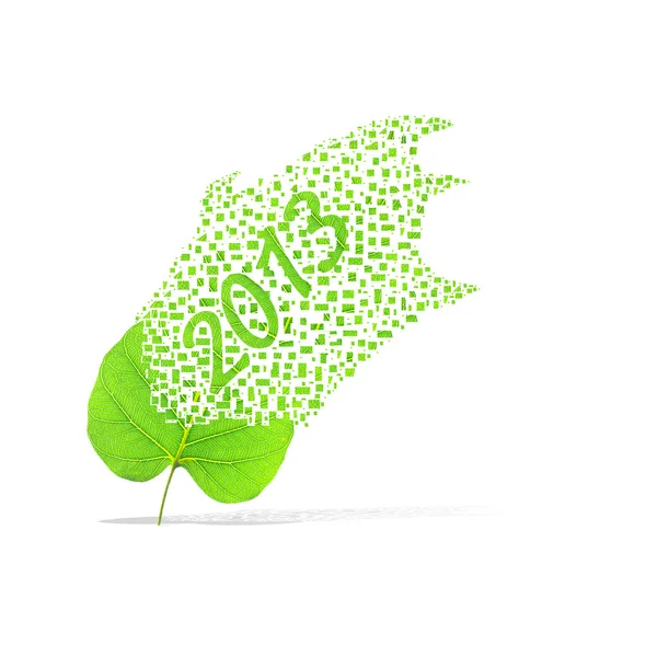 Green leaf of 2013 year on white background — Stock Photo, Image