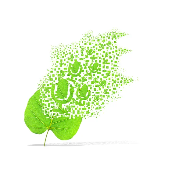 白い背景の上のマイクの緑の葉 — ストック写真